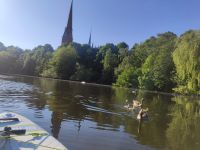 Sup Board Verleih 2Stück direkt am Kuhmühlenteich 5min zur Alster Hamburg-Nord - Hamburg Hohenfelde Vorschau