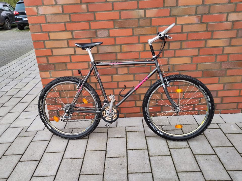 Giant Super Sierra Hardtail MTB von 1996 in Nordhorn