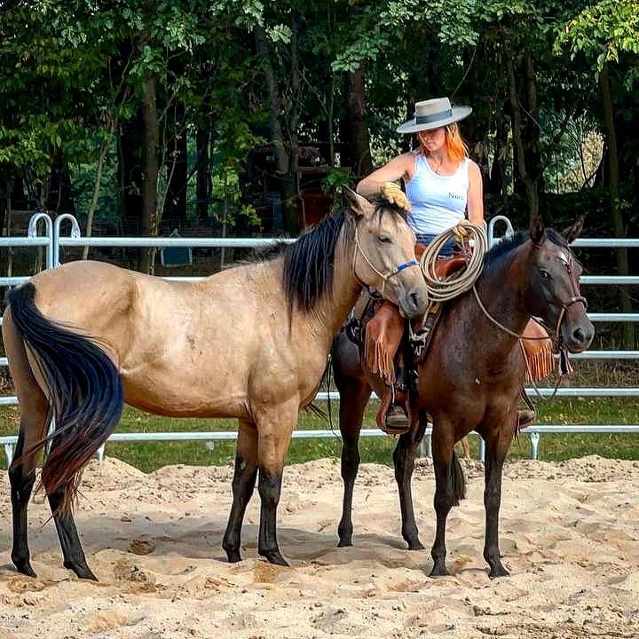 Beritt & Ausbildung, altkalifornische Reitkunst in Liebstadt