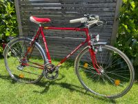 Bianchi Herren Sportrad (RH 61) in Rot Baden-Württemberg - Horgenzell Vorschau