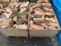 Buchenholz Buche Kaminholz Brennholz Eiche gespalten Kamin Holz Nordrhein-Westfalen - Enger Vorschau