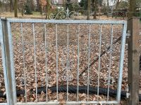 Schönes schmiedeeisernes Gartentor verzinkt mit Tür Brandenburg - Cottbus Vorschau