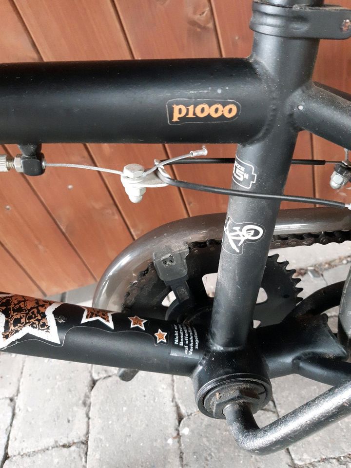 BMX Rad 20 Zoll, fishbone P1000 in Telgte