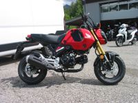 Honda MSX125 Grom *Aktion Führerscheinzuschuß Bayern - Bischofswiesen Vorschau