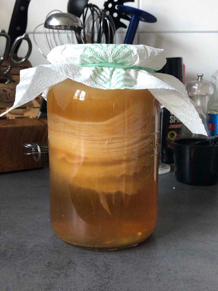 Kombucha Scoby in Sachsen bei Ansbach