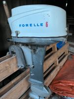 Forelle Bootsmotor 6 PS Sachsen-Anhalt - Oebisfelde-Weferlingen Vorschau