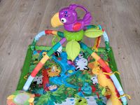 Fisher Price Rainforest Spielebogen / Spielbogen Nordrhein-Westfalen - Altena Vorschau