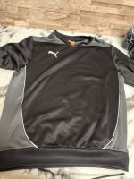 Herren Pullover Puma Dortmund - Scharnhorst Vorschau