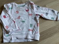 Pullover mit Katzen 80 guter Zustand 1,50€ Nordrhein-Westfalen - Brakel Vorschau