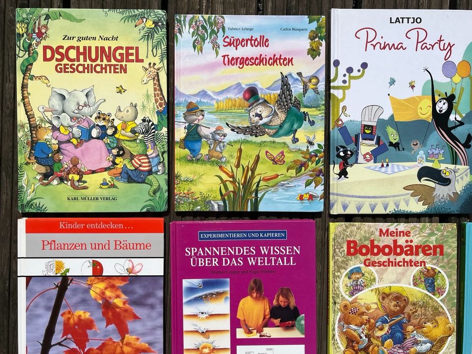 Bücherpaket Bücherkiste (14Stk.) Vorlesebücher Kinderbücher in Laatzen