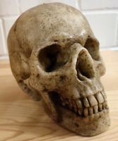 Kerze Totenschädel  Totenkopf Skullcandle Hessen - Allendorf Vorschau