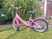 Puky Prinzessin Lillifee Fahrrad 16 Zoll Nordrhein-Westfalen - Krefeld Vorschau
