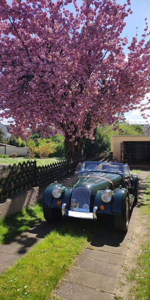 Morgan Plus 8 LHD in Hochheim am Main