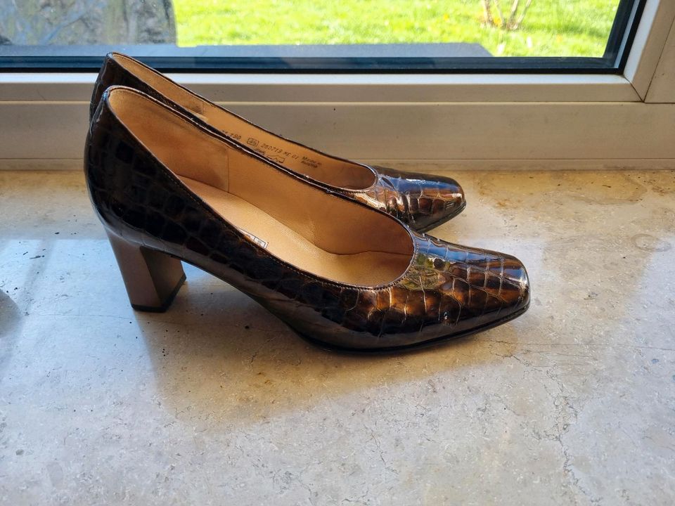 Gabor Pumps 4 1/2 gr. 37 1/2 schwarz braun Leder in Gersthofen