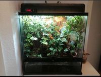 ExoTerra Terrarium 60x45x60 Nordrhein-Westfalen - Bad Salzuflen Vorschau