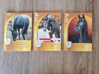 Set Das goldene Buch der Celler Hengste 2013 2014 2015 Pferd Niedersachsen - Ahlerstedt Vorschau