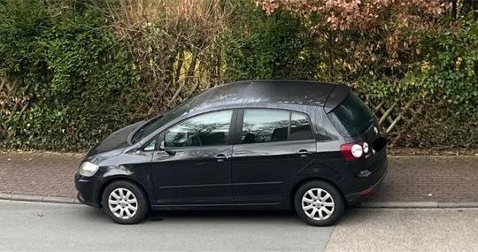 VW Golf Plus Comfortline mit Apple Car Play, Rückfahrkamera in Bad Homburg