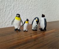 Schleich Südpol Tiere Pinguine Figuren Antarktis Schleichtiere Nordrhein-Westfalen - Meerbusch Vorschau