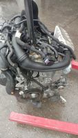 Motor VW Scirocco Passat 1.4 TSI CAV CAVD 160PS 42tkm komplett Berlin - Wilmersdorf Vorschau