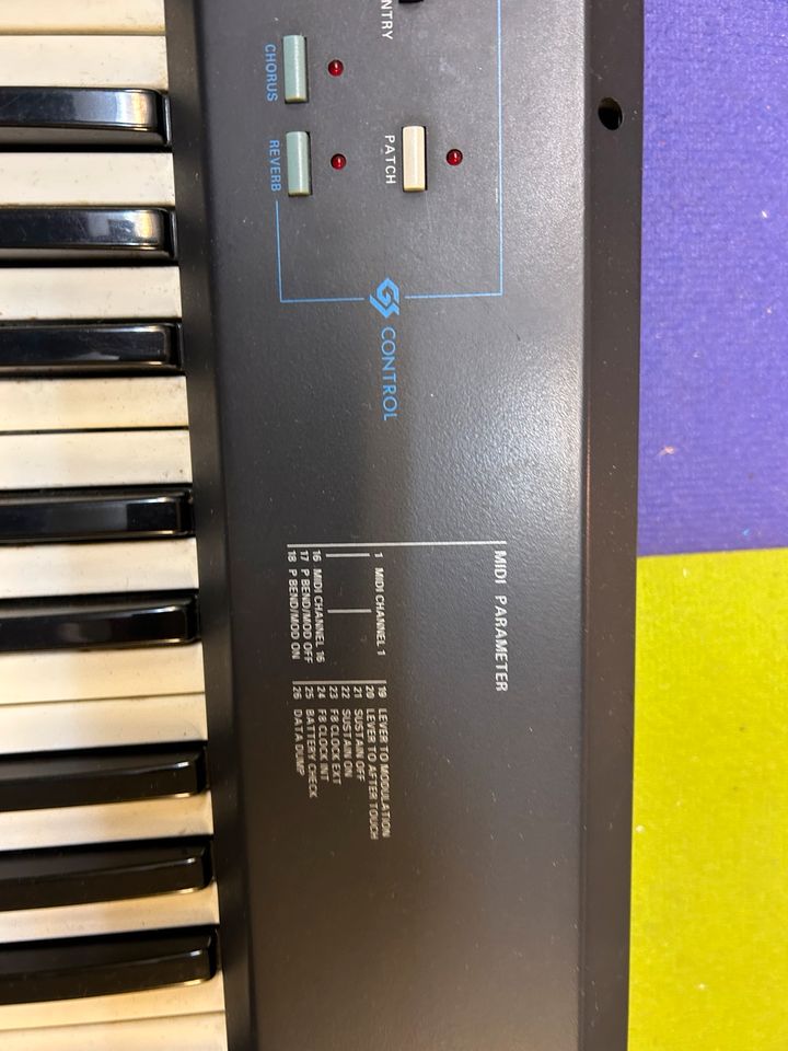 Midi Master-keyboard Roland A-30 mit Pedal in Hamburg
