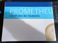 Prometheus LernPoster der Anatomie eingeschweißt Eimsbüttel - Hamburg Lokstedt Vorschau