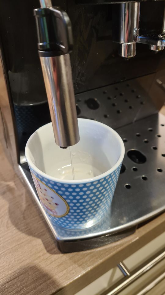 DeLonghi Kaffeevollautomat ECAM 21.116.B Magnifica S in Königsbach-Stein 