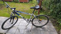 Univega Alpina Sport, 26 Zoll, MTB Baden-Württemberg - Wiernsheim Vorschau