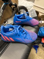 Adidas Fußballschuhe Kinder Predator Größe 32 Rheinland-Pfalz - Ludwigshafen Vorschau