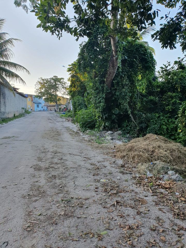 Grundstück in Brasilien/ Südbahia, Cabrália, nähe Porto Seguro. in Seevetal