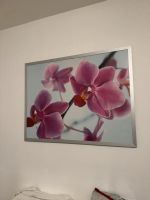 Bild pinke Orchideen Bayern - Neu Ulm Vorschau