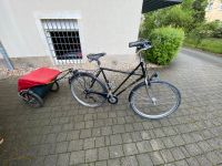 Reiserad - Herrenrad -  Brooks und Fahrradanhänger / Donkey Dresden - Seevorstadt-Ost/Großer Garten Vorschau