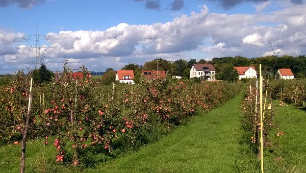 Villa (4 Whg.) am Stadtrand Dresden (OG und Dachg. frei) in Müglitztal