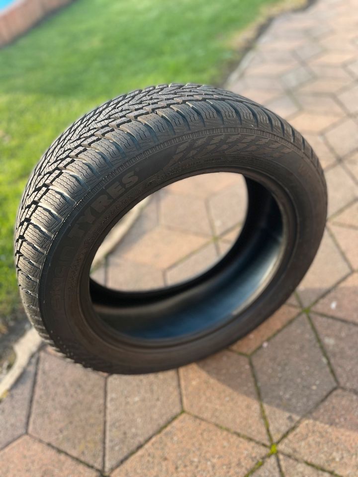 Winterreifen Nokian WR Snowproof 195/55 r16 in Meisdorf