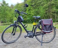 Dynamics Citydrive F7, E-Bike, Elektrofahrrad (gebraucht) Hessen - Freigericht Vorschau