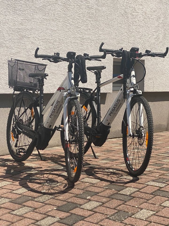 Pegasus EVO 10 Premio Cross Trekking E-Bikes zu verkaufen in Hofheim am Taunus