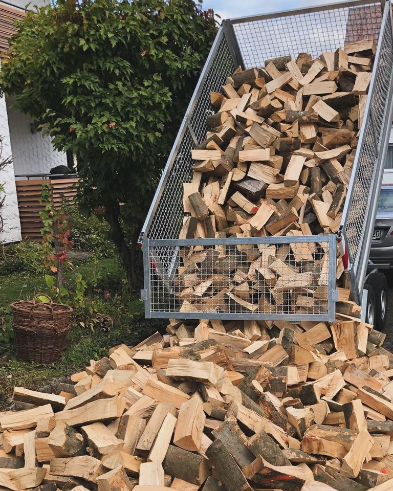 Brennholz Buche 25cm Holz ofenfertig in Thüngen