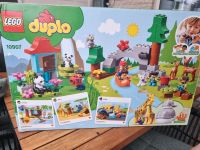 Lego duplo ovp Tiere aller Welt Nordrhein-Westfalen - Erwitte Vorschau