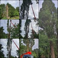 Baumfällungen/ Sturmschäden Beseitigung Saarland - Bexbach Vorschau