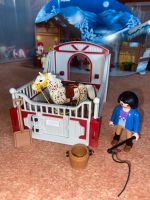 Playmobil Knabstrupper mit Pferdebox Dresden - Prohlis-Nord Vorschau