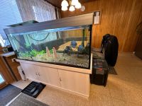 Aquarium mit Alu Abdeckung, Ausenfilter, Unterschrank Baden-Württemberg - Sigmaringen Vorschau