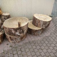 Baumscheibe,Baumscheiben,Holz,Holzscheibe,Holzscheiben Sachsen-Anhalt - Westeregeln Vorschau