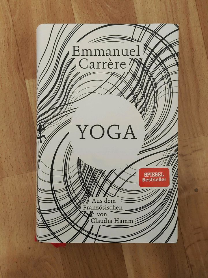 Emmanuel Carrère "Yoga" in Geist