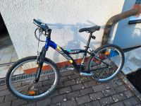 Winora Freak Alu Mountainbike Bayern - Sandberg Vorschau