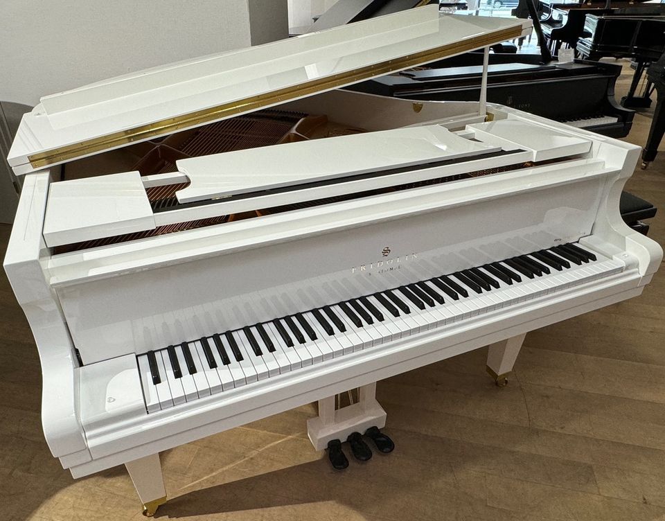 Ganz neuer SCHIMMEL FLÜGEL Fridolin F 156 Tradition weiss poliert in Detmold