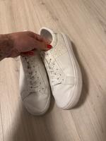 Calvin Klein Sneaker Königs Wusterhausen - Wildau Vorschau
