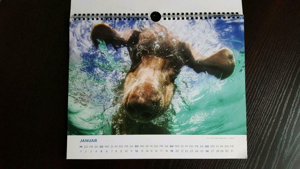 Wandkalender 2014 Hunde unter Wasser v. Seth Casteel in Kissing