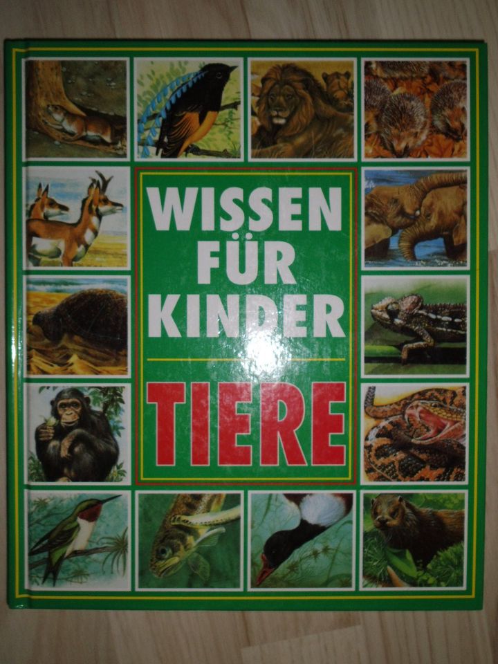 großes Hardcover Buch Wissen für Kinder TIERE wie neu Lexikon in Eckental 