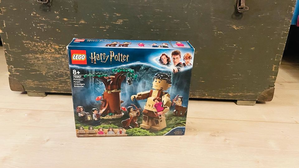 Harry Potter Lego Set in Wadgassen