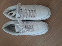 Champion Schuhe gr. 44 Nordrhein-Westfalen - Dormagen Vorschau