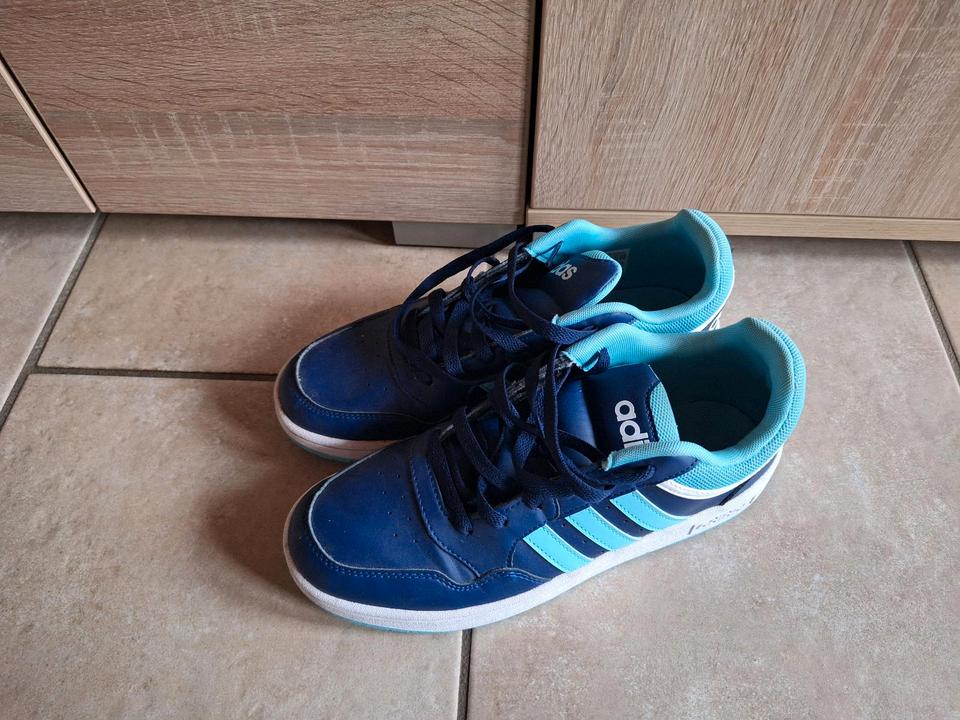 Adidas Sneaker Schuhe Blau 40 kaum getragen Low Cut Hoops 3.0 in Emsbüren
